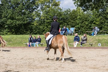 Bild 568 - Pony Akademie Turnier